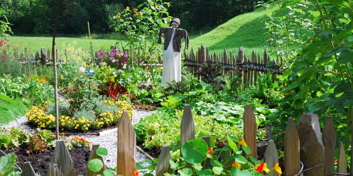 Natuurlijke methoden om mos en woekerplanten te bestrijden, terwijl bodemgezondheid en biodiversiteit worden gewaarborgd.