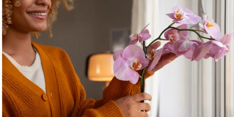 Zo laat je je orchidee weer bloeien: een echte uitdaging voor hobbytuiniers