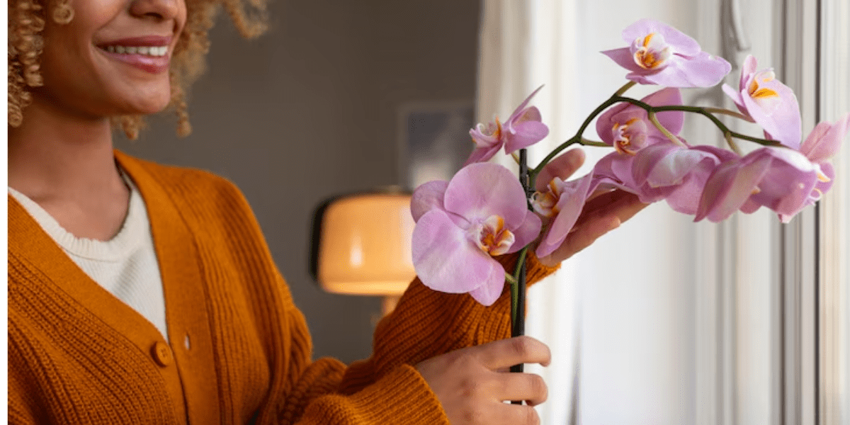 Zo laat je je orchidee weer bloeien: een echte uitdaging voor hobbytuiniers